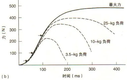 篮球训练时英语专业术语_2