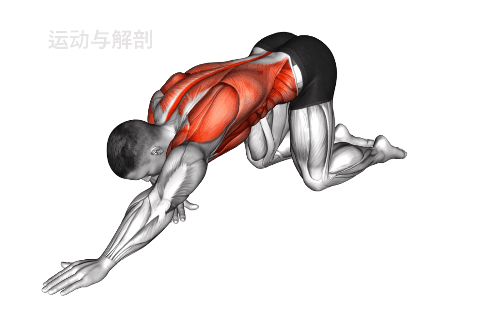 篮球模拟训练中的体能训练解决方案_2